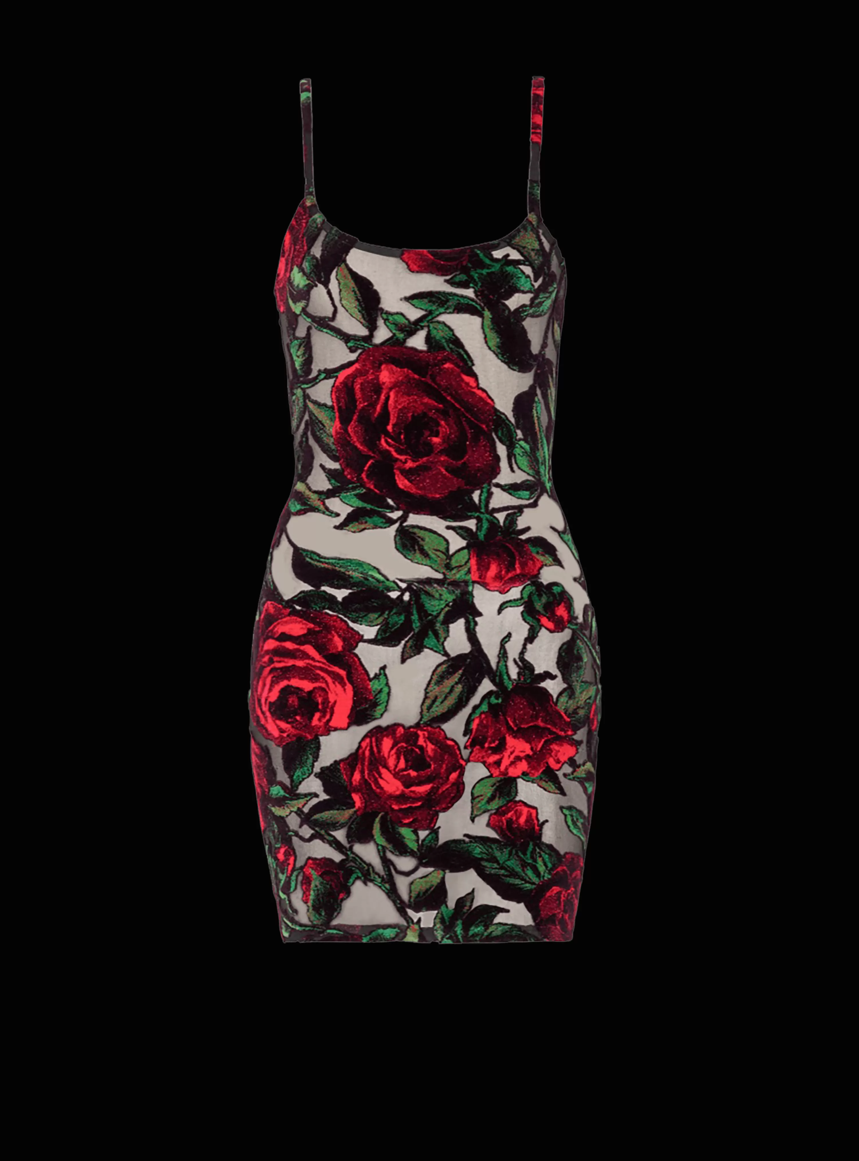 Women Balmain Burnout Velvet Dress With Rose Print